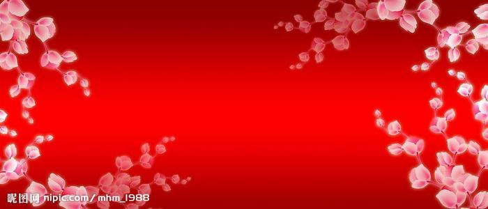 不动产证的证件号码在哪里